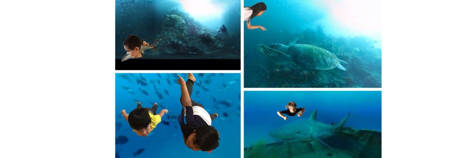 Innovating by Necessity: Breathing Life into Virtual Learning