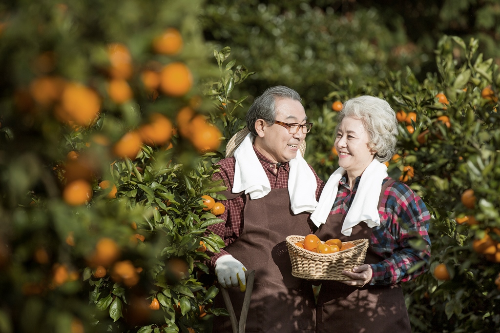 In Search of a Golden Lifestyle for Seniors