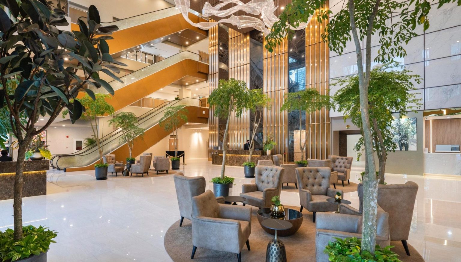 Robotic Knee Replacement Surgery in Malaysia