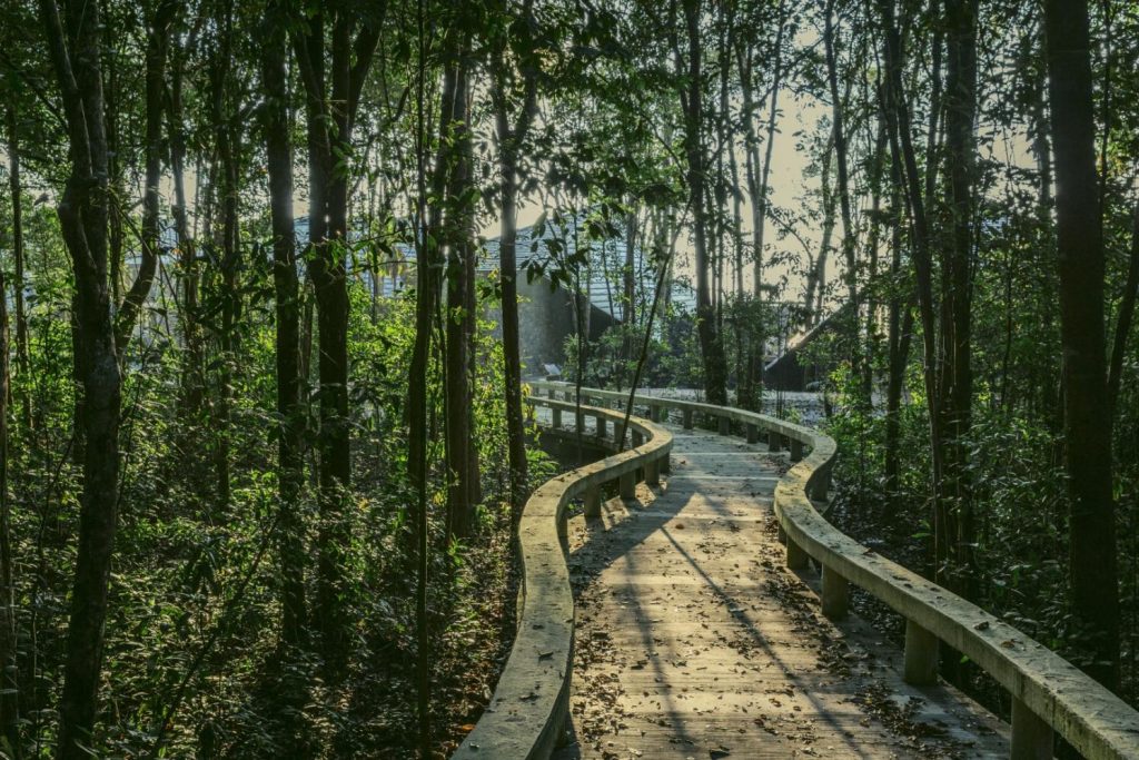 7 Reasons The Kasturi Resort Should Be Your First Trip After Lockdown